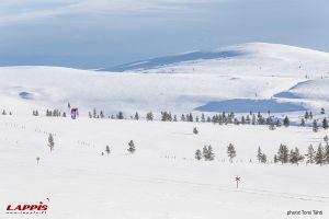 Lapland Landscape