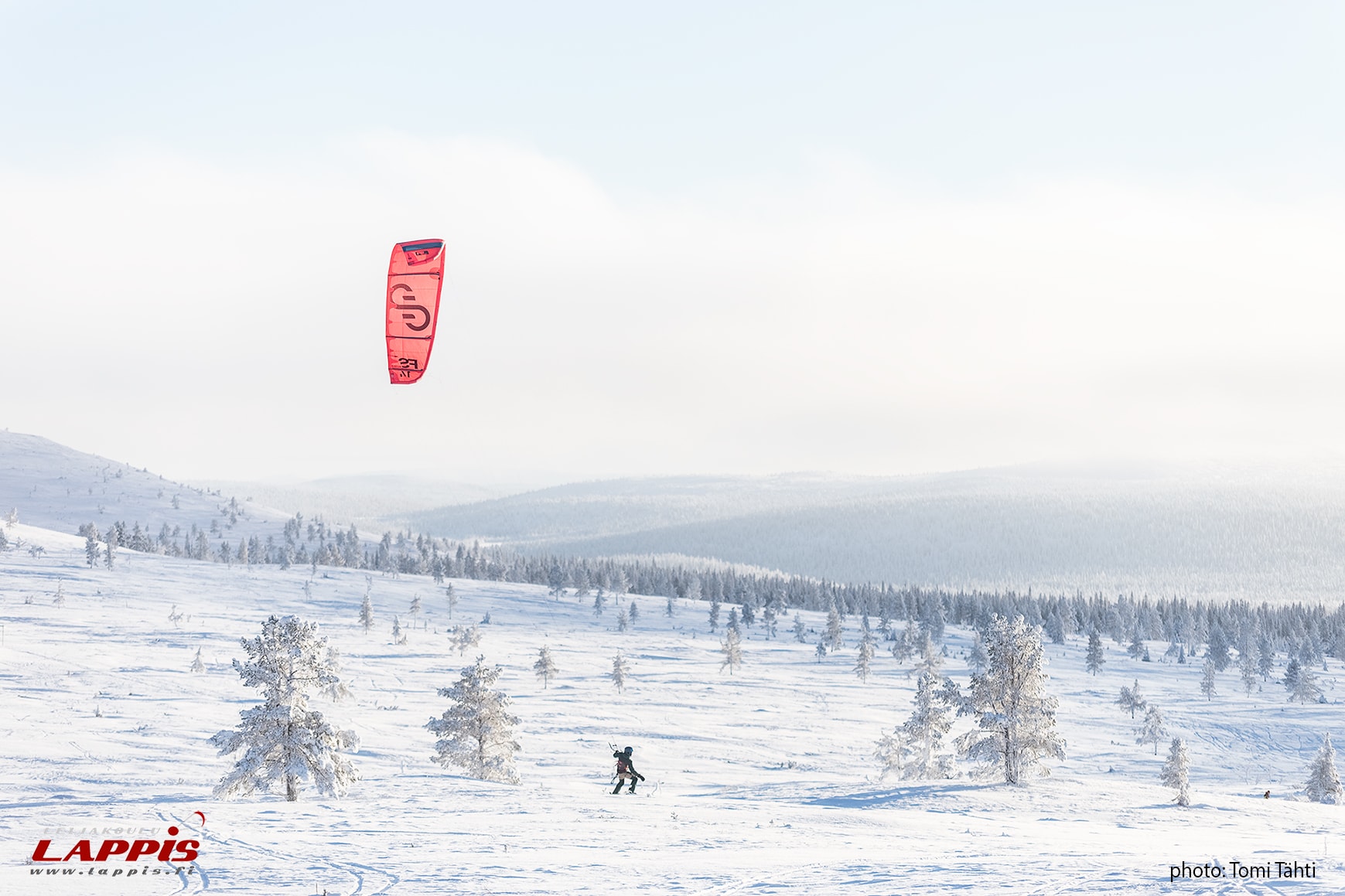 Lapland Landscape